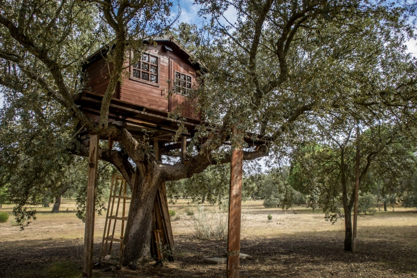 cabane